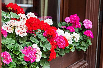 跑酷游戏《幻影深渊》今天Steam正式发售 国区折扣价94元 支持简体中文